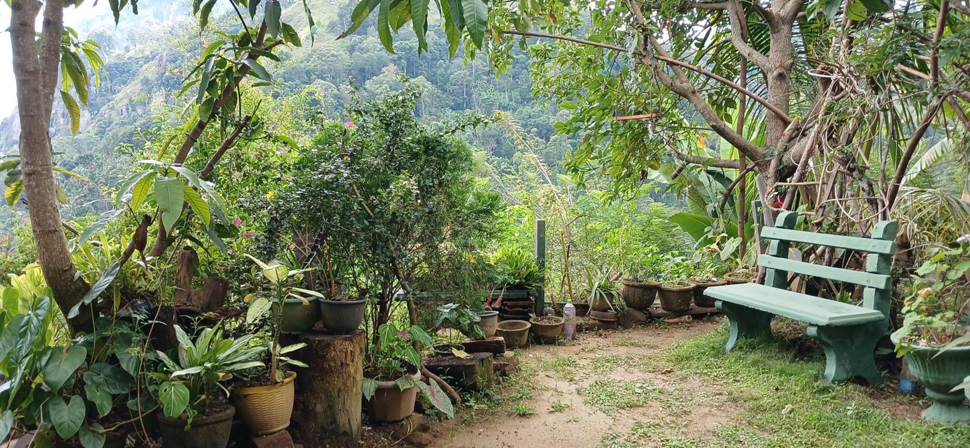 Pasan Guest Bed & Breakfast เอลลา ภายนอก รูปภาพ