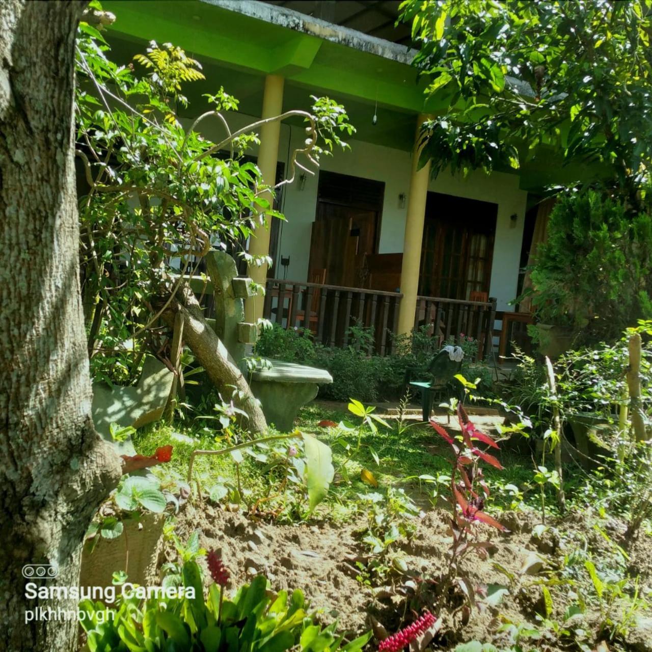 Pasan Guest Bed & Breakfast เอลลา ภายนอก รูปภาพ