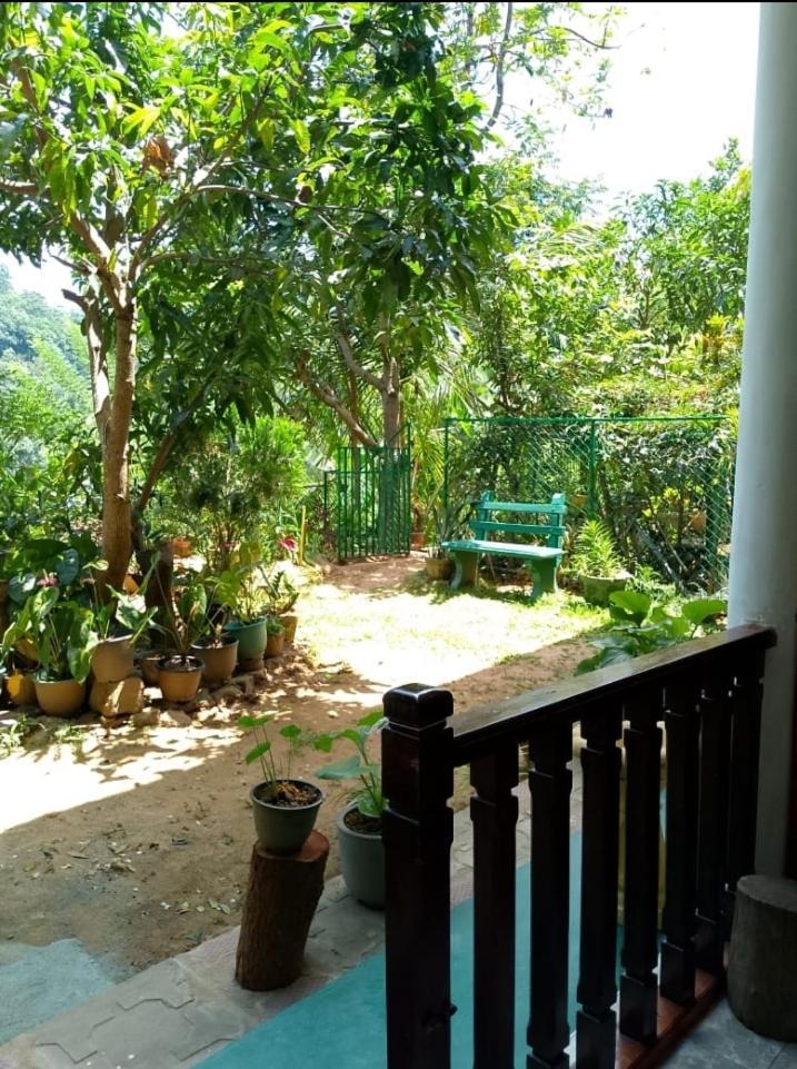 Pasan Guest Bed & Breakfast เอลลา ภายนอก รูปภาพ