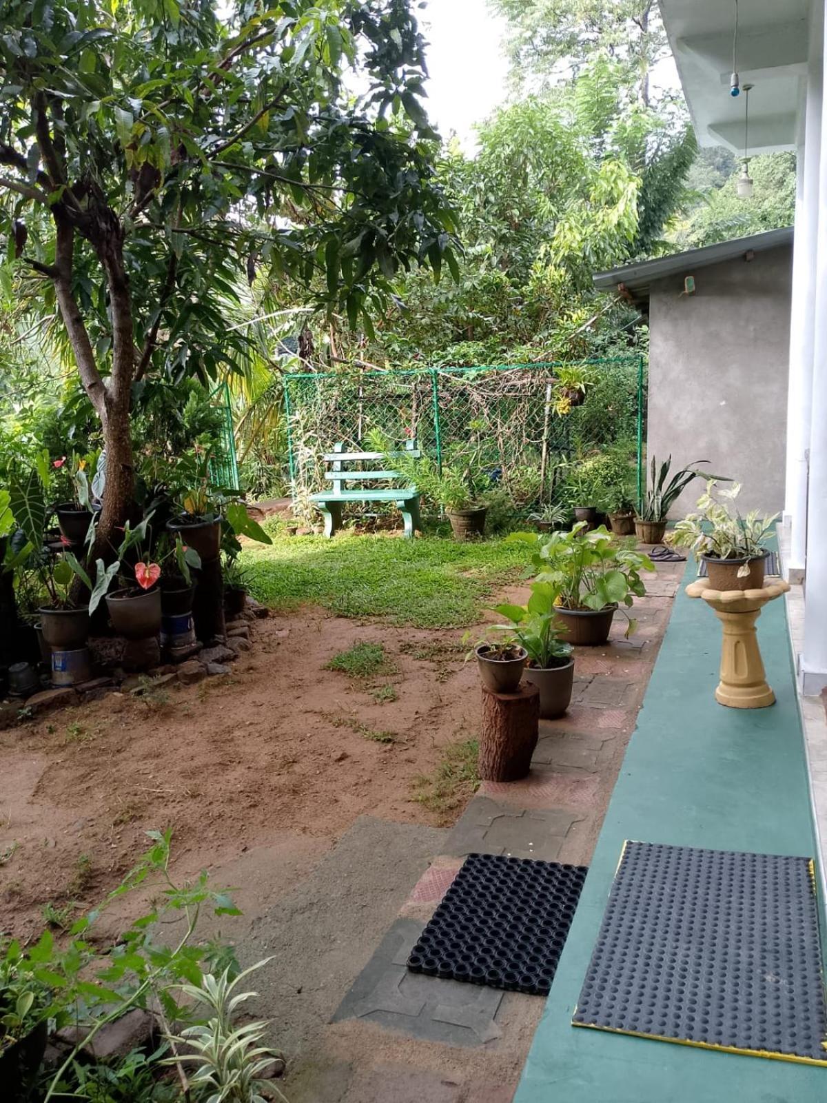 Pasan Guest Bed & Breakfast เอลลา ภายนอก รูปภาพ