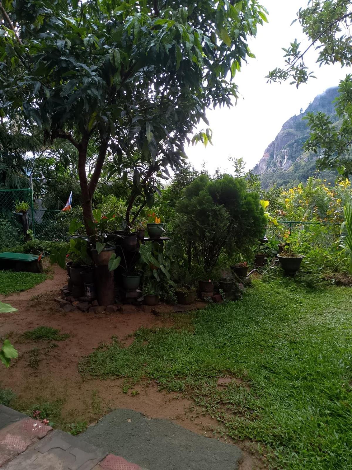 Pasan Guest Bed & Breakfast เอลลา ภายนอก รูปภาพ