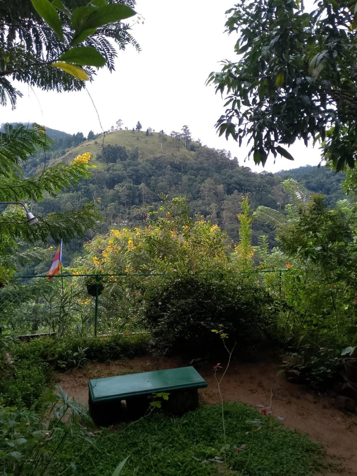 Pasan Guest Bed & Breakfast เอลลา ภายนอก รูปภาพ