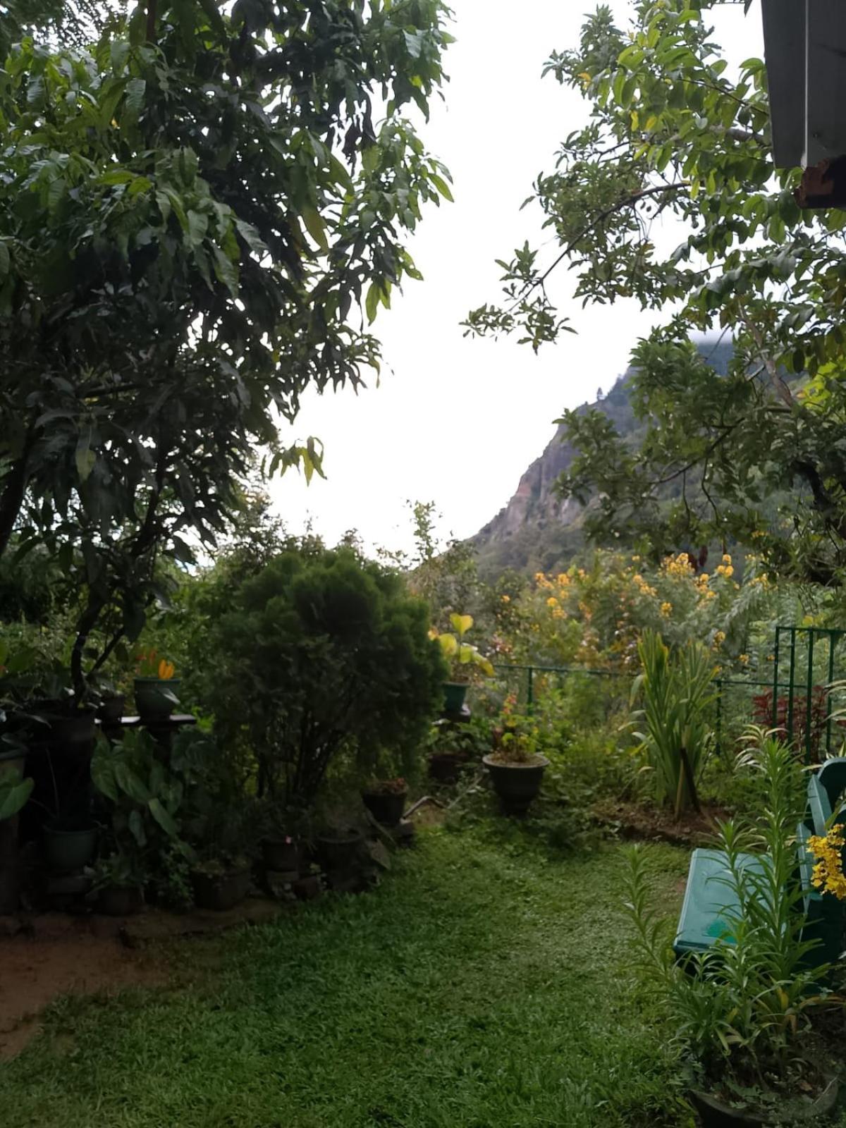 Pasan Guest Bed & Breakfast เอลลา ภายนอก รูปภาพ