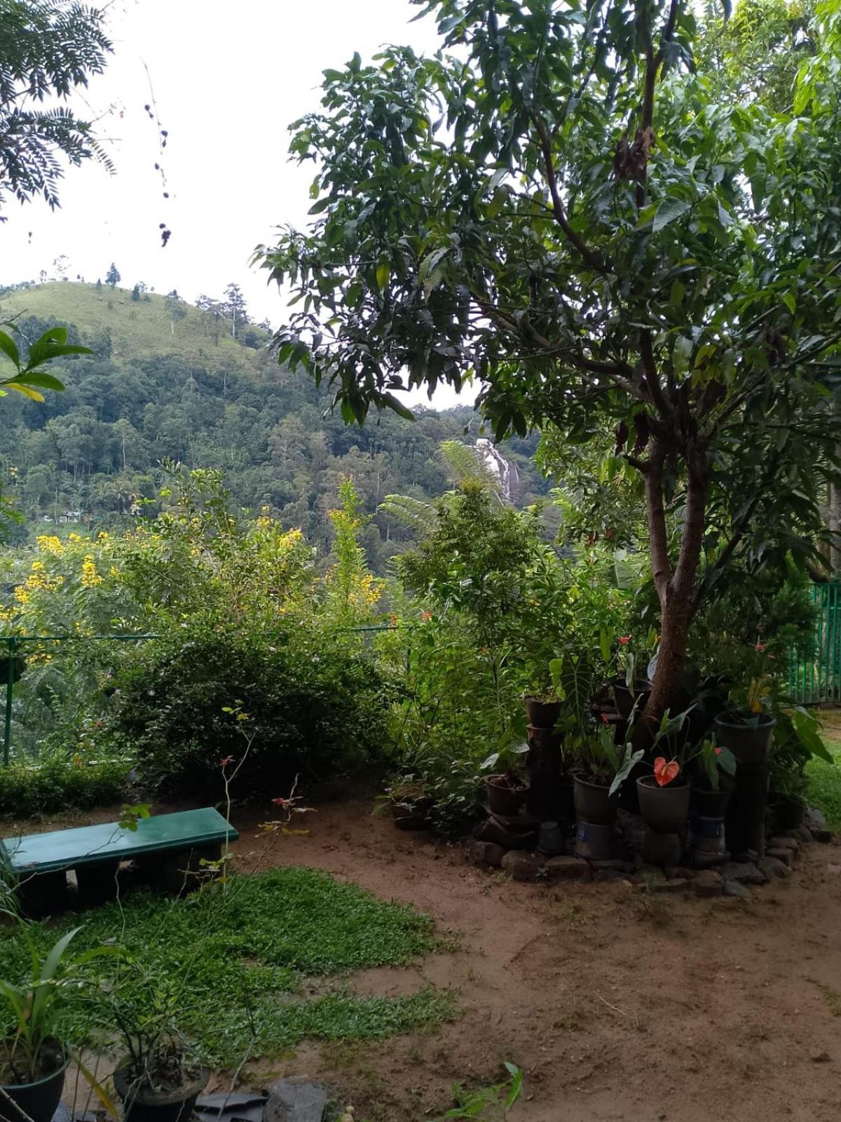 Pasan Guest Bed & Breakfast เอลลา ภายนอก รูปภาพ